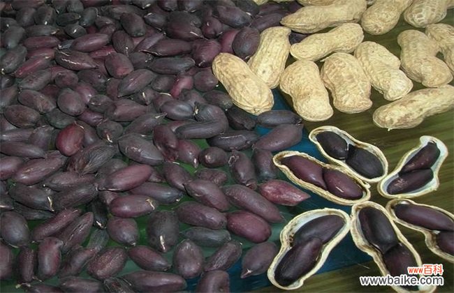 黑花生产地在哪里