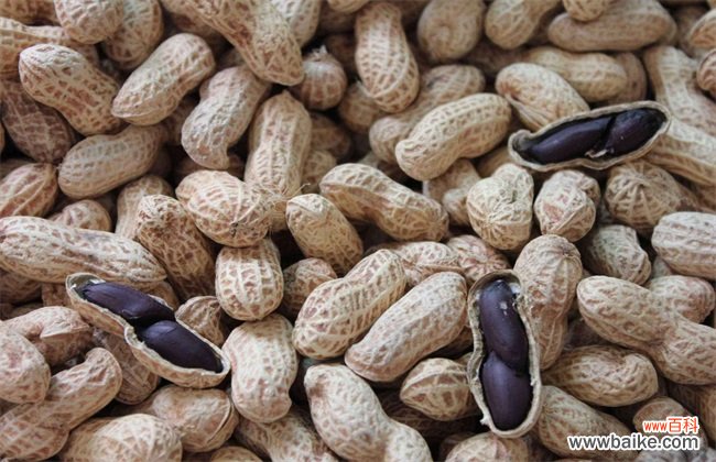 黑花生产地在哪里