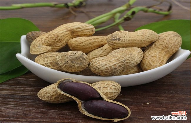 黑花生产地在哪里