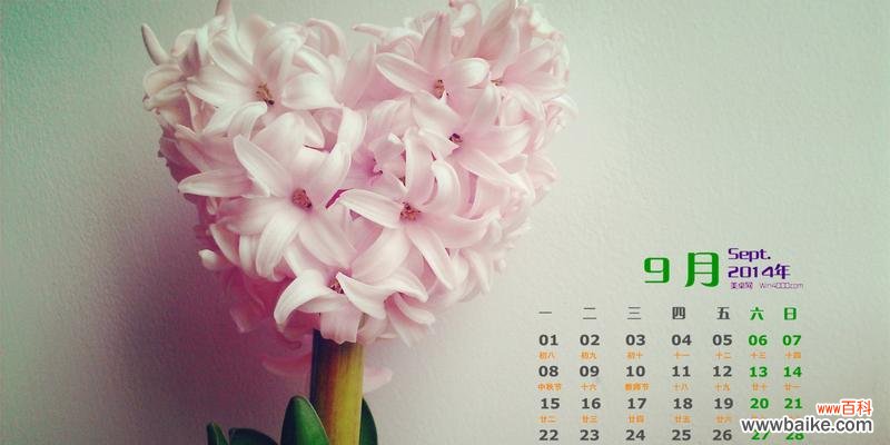 探秘风信子的历史、品种、花语及栽培技巧 风信子——春天的芬芳之美