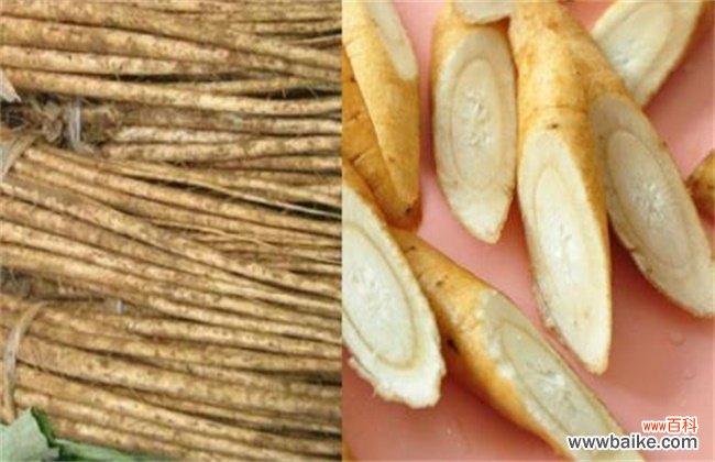 牛蒡是山药吗?牛蒡和山药的区别