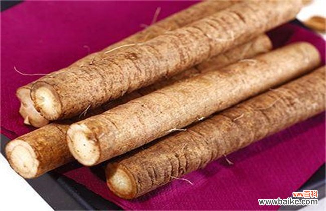 牛蒡是山药吗?牛蒡和山药的区别