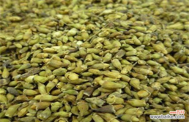 槐米价格多少钱一斤?