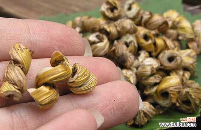 金钗石斛多少钱一斤