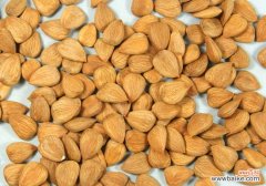 孕妇能吃杏仁吗？