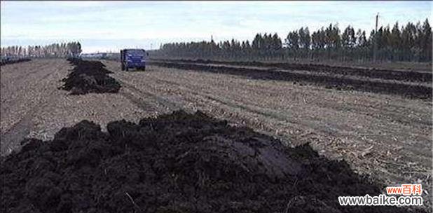 农家肥腐熟是什么意思？腐熟过程对作物有何影响？