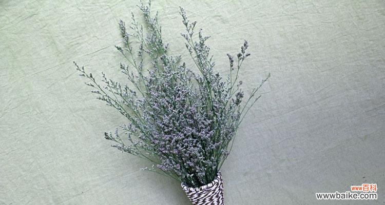 情人草的花语是什么?如何正确解读情人草的含义?