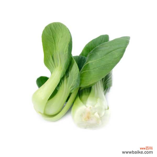 油菜的病害防治方法