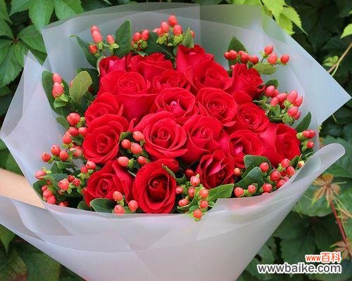 美丽的语言传递情感的力量 九朵玫瑰的花语