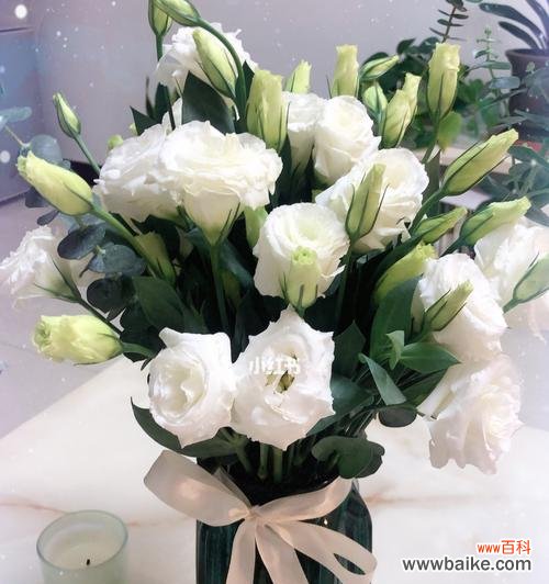 传承千年的花语之谜 桔梗白色花语的含义与传承