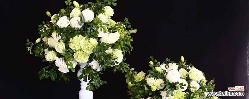 代表友谊的花有哪些?