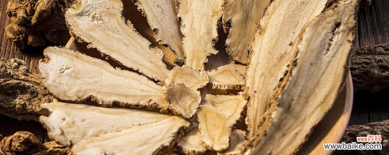 当归是热性还是凉性