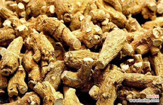 西洋参一斤价格多少钱