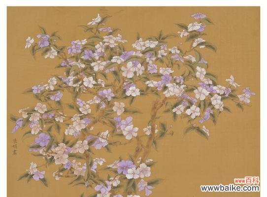 双生花的花语是什么?了解双生花的深层含义和象征意义?