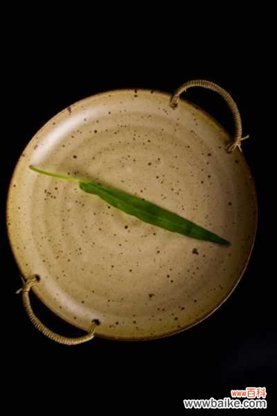 空心菜的病虫害防治