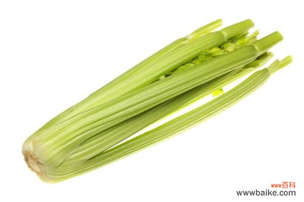 芹菜的病虫害防治