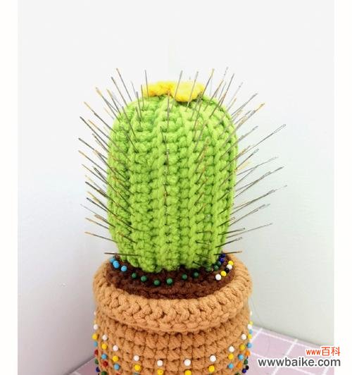 培养仙人球的正确方式 仙人球的插法