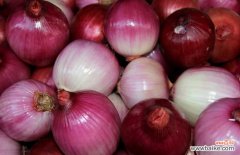 吃洋葱的四大禁忌 洋葱生吃好还是熟吃好？