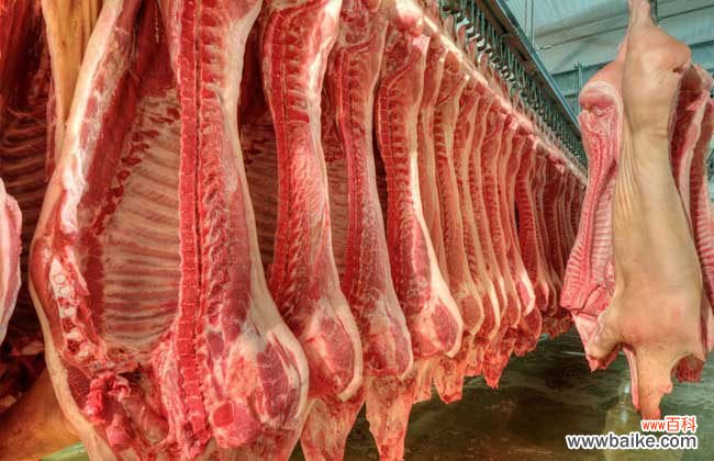 回族为什么不吃猪肉？