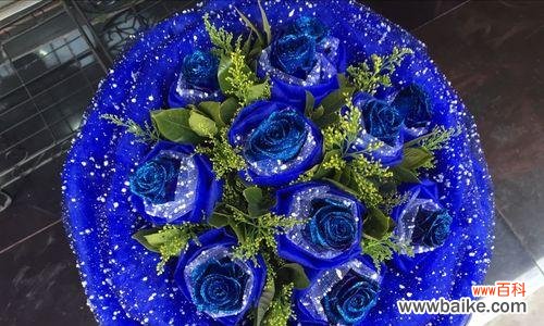 探索鲜花的世界 花店常见花品种详解