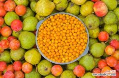 梨树的虫害及其防治