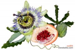 百香果叶子发黄萎缩怎么办