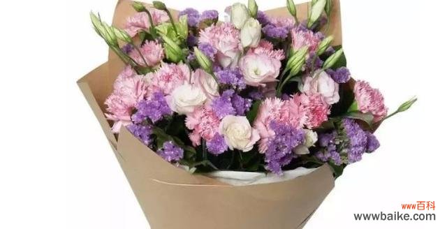 揭示康乃馨所传递的情感和象征意义 康乃馨的寓意与花语