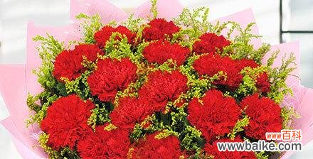 传递的爱与美丽 康乃馨朵数所代表的意思