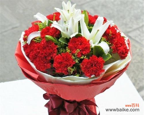 深情厚意 康乃馨花束的寓意与象征