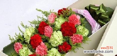 探索每朵康乃馨背后的寓意与象征 康乃馨花语揭示的情感真谛