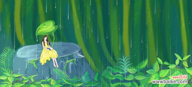 跳舞草的花语是什么?它有哪些神秘的传说故事?