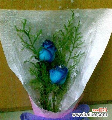 神秘而美丽的冰之花-碎冰蓝玫瑰 碎冰蓝玫瑰的花语与传说