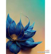 探秘蓝莲花的美与哲理 蓝莲花的寓意与象征