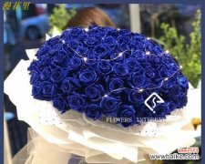 解读蓝玫瑰的象征意义及传说 蓝玫瑰的神秘魅力