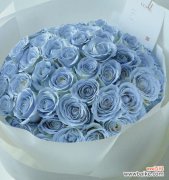 寓意 以蓝玫瑰的含义探索