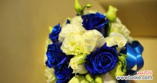 解读碎冰蓝玫瑰的神秘信息 碎冰蓝玫瑰的花语和寓意