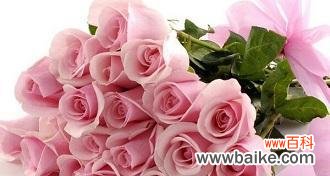 100朵玫瑰代表什么意思?花语背后的浪漫含义是什么?