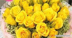 香槟金玫瑰花语是什么意思？购买时需要注意什么？