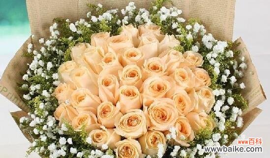 香槟金玫瑰花语是什么意思?购买时需要注意什么?