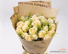 香槟玫瑰的花语有哪些含义？