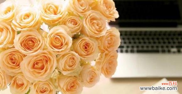 19朵香槟玫瑰代表什么含义?花语解读及送花建议?