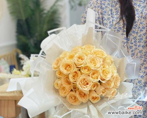 19朵香槟玫瑰代表什么含义?花语解读及送花建议?