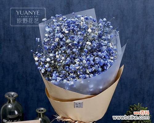 星光璀璨点亮未来梦想之路 蓝色满天星的寓意——希望和梦想的象征