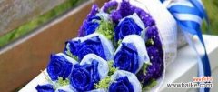探寻蓝色玫瑰所代表的情感与意义 蓝色玫瑰花语的深刻含义