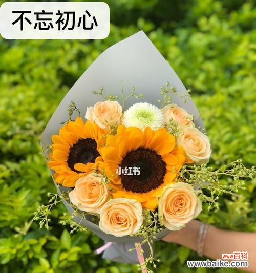 向日葵花的寓意是什么？花语有哪些含义？