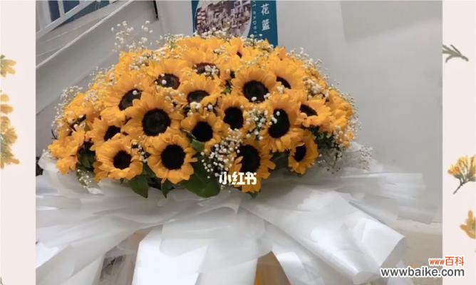 向日葵满天星搭配适合送什么人？