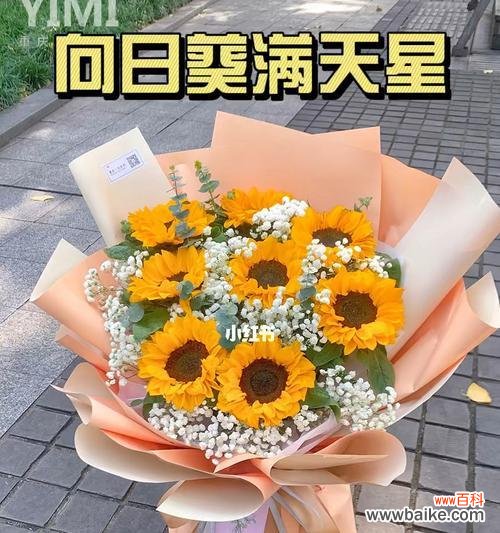 向日葵满天星搭配适合送什么人？