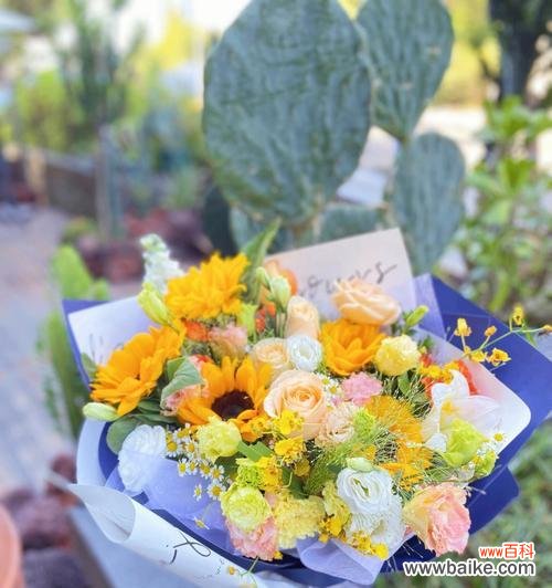 向日葵的寓意是什么？送几朵最合适？