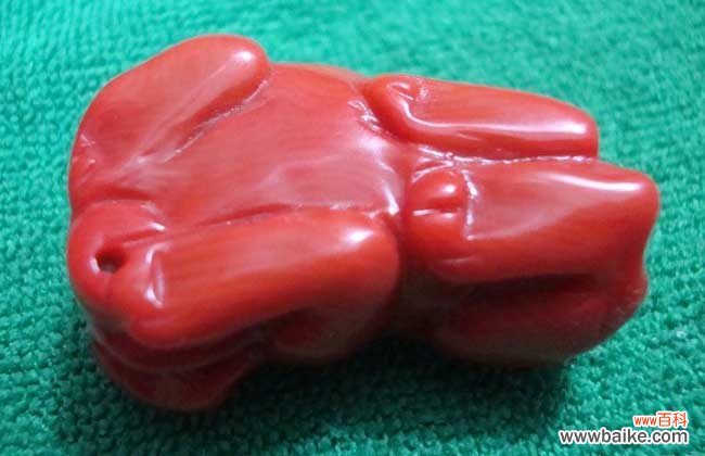 红珊瑚为什么不能卖 红珊瑚有什么作用？