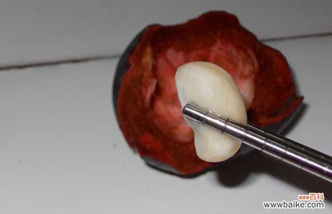 山竹保存温度是多少度 山竹可以放冰箱保存吗？